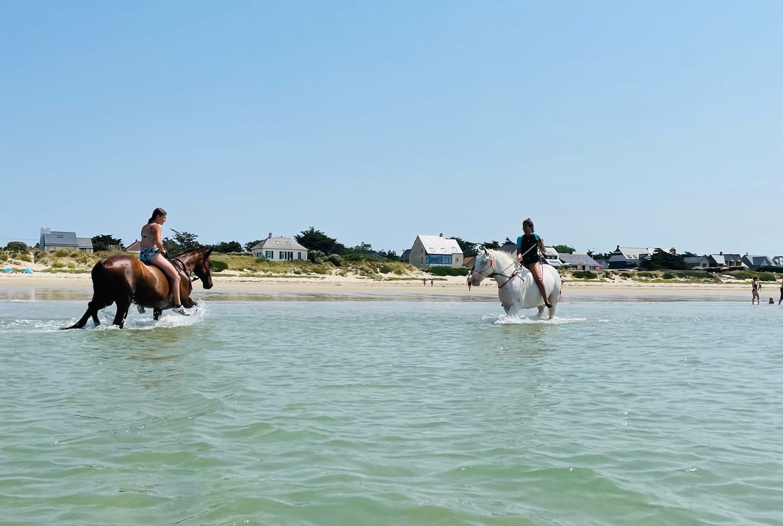 Chevaux de l'association Équilibre14 sur la plage en Normandie
