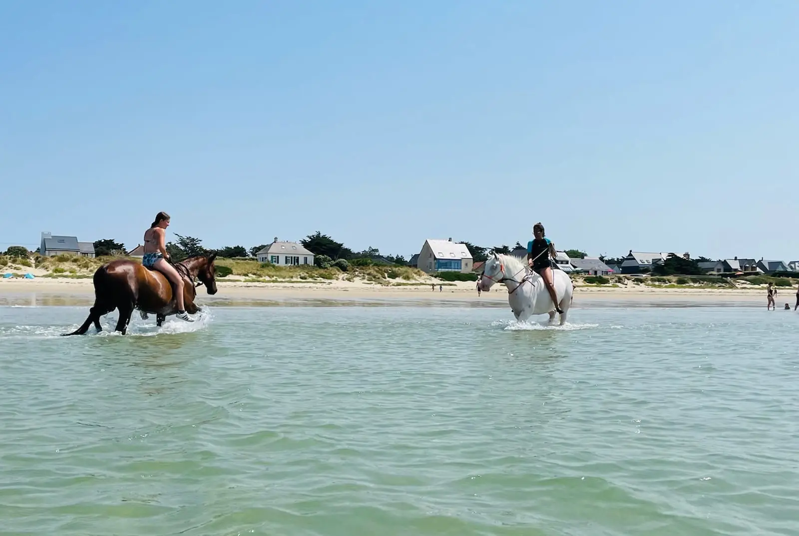Chevaux de l'association Équilibre14 sur la plage en Normandie