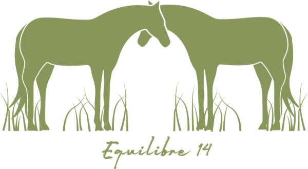 Équilibre14
